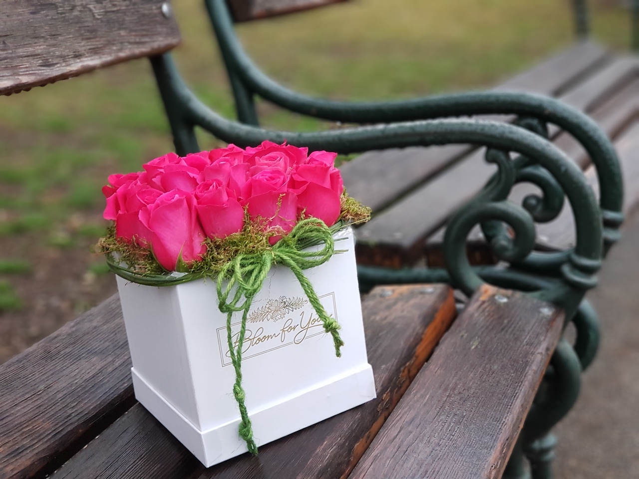 Blumen(Flower)box #2 -Verfügbarkeit anfragen (request availability)